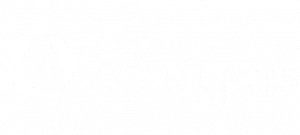 google developer_11zon