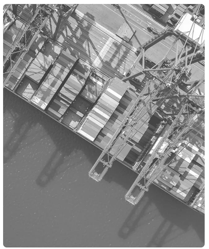 Identity & Website for a Multi-Service Company in the UAE Multi-Activity Companies – General Services – Business Solutions